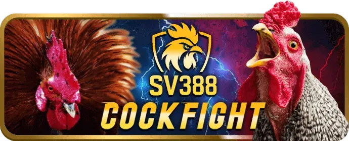 Minh họa quy trình đăng ký tài khoản j9 bet nhanh chóng
